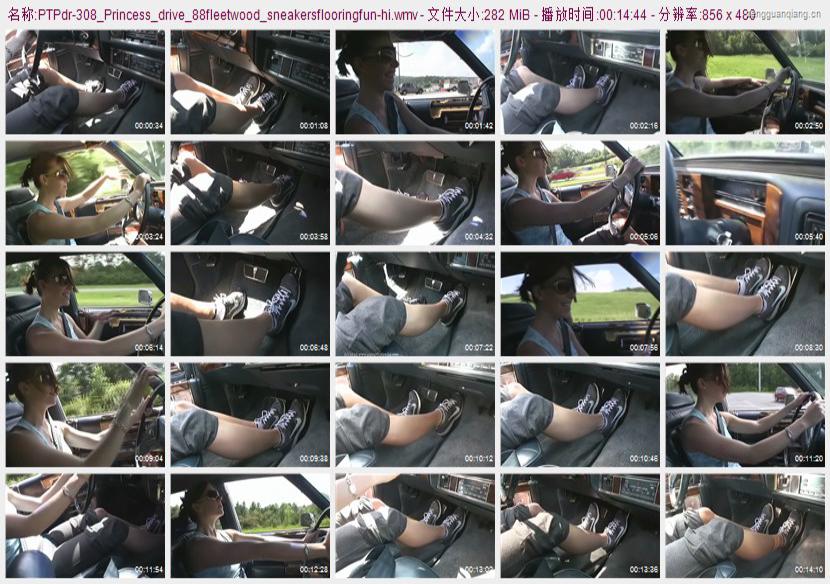 ptpdr-308_Princess_drive_88fleetwood_sneakersflooringfun